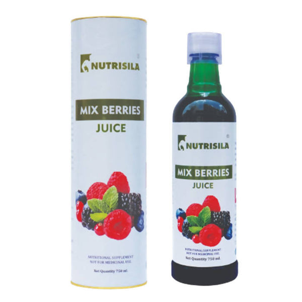 Extasy Nutrisila Mix Berries Juice - Distacart