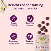Thumbnail for Panchamrit Anti-Stress Gummies- Mixed Berry Flavor - Distacart