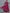 Kalini Women Maroon Floral Embroidered Anarkali Kurta - Distacart