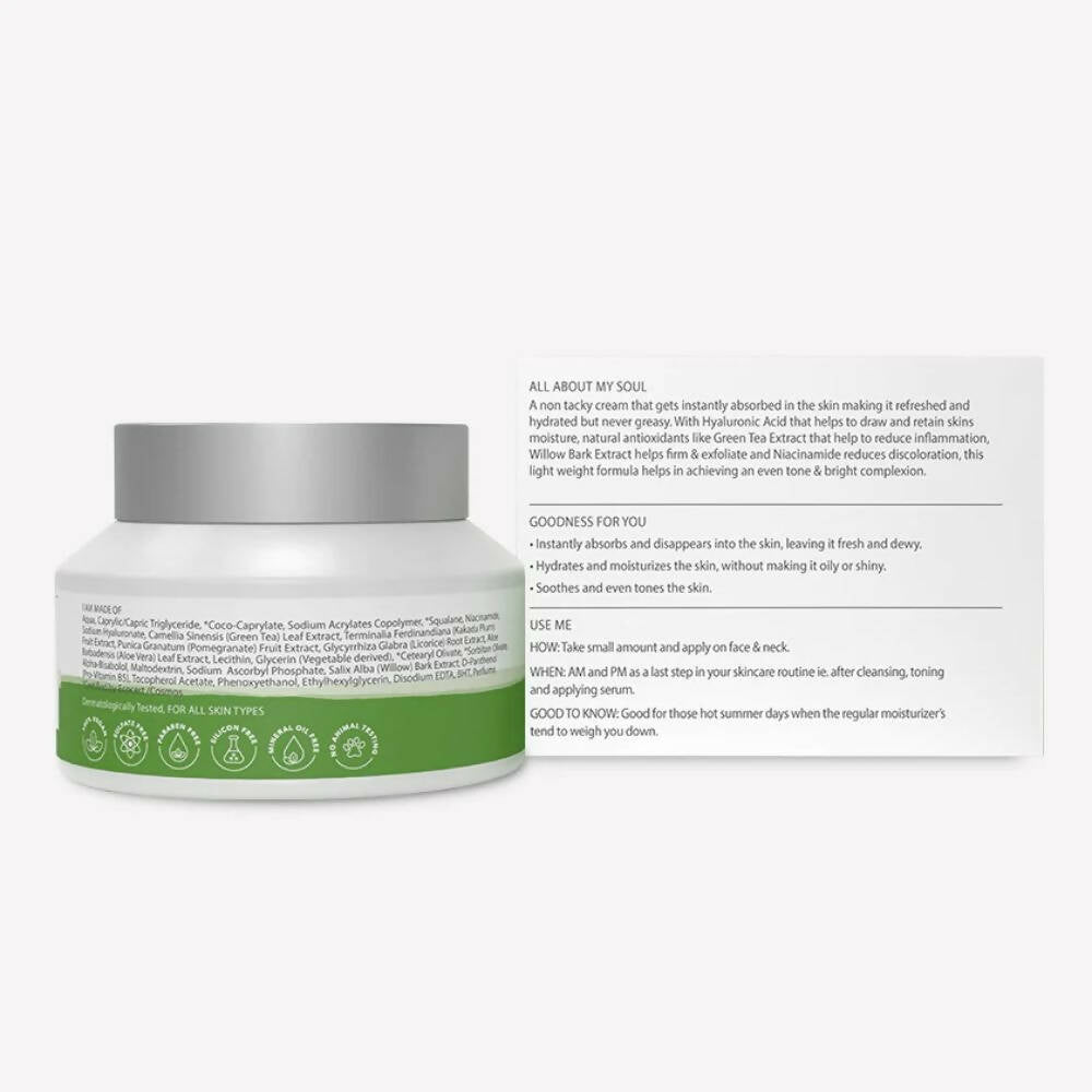 Be Soulfull Burst Of Hydration Moisturizing Cream - Distacart