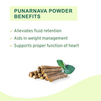 Thumbnail for Vitro Naturals Punarnava Powder Benefits