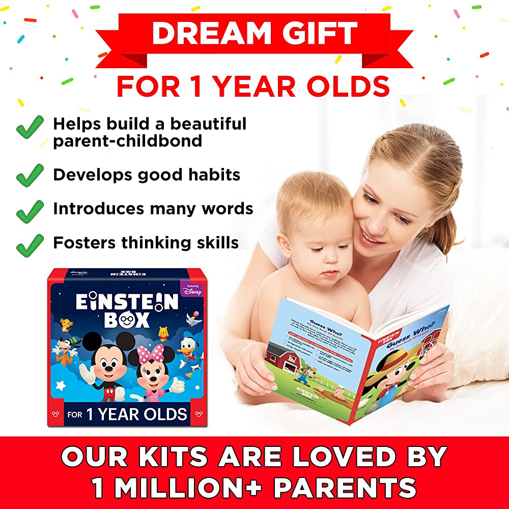 Einstein Box Gift Toys For 1-Year-Old Boys/Girls - Distacart