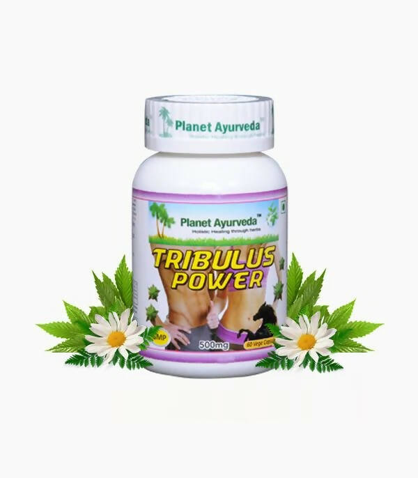Planet Ayurveda Tribulus Power - Distacart