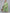 Khushal K Women Green Ethnic Motifs Printed Kurta with Palazzos & With Dupatta - Distacart