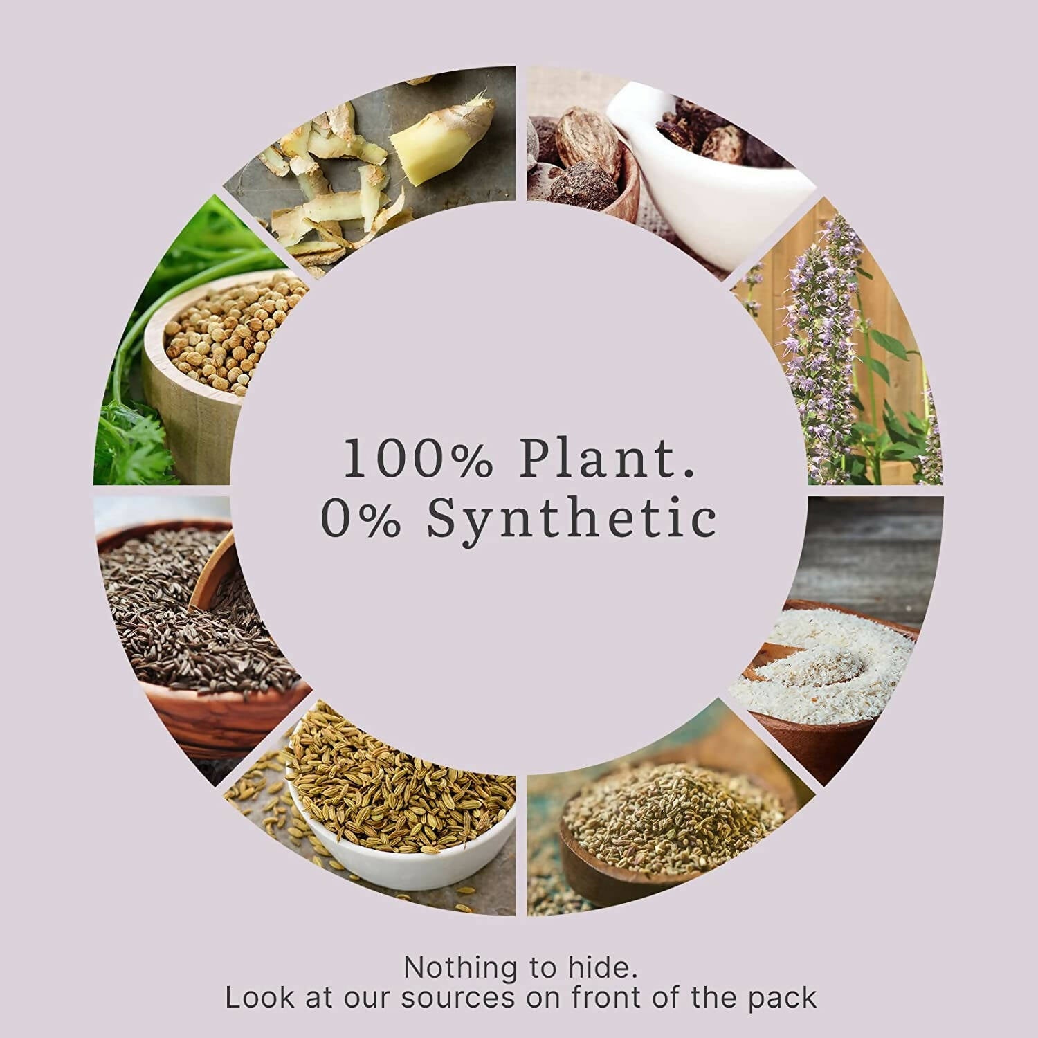 Earthful Gut Health Supplement - 100% Plant Based - Distacart