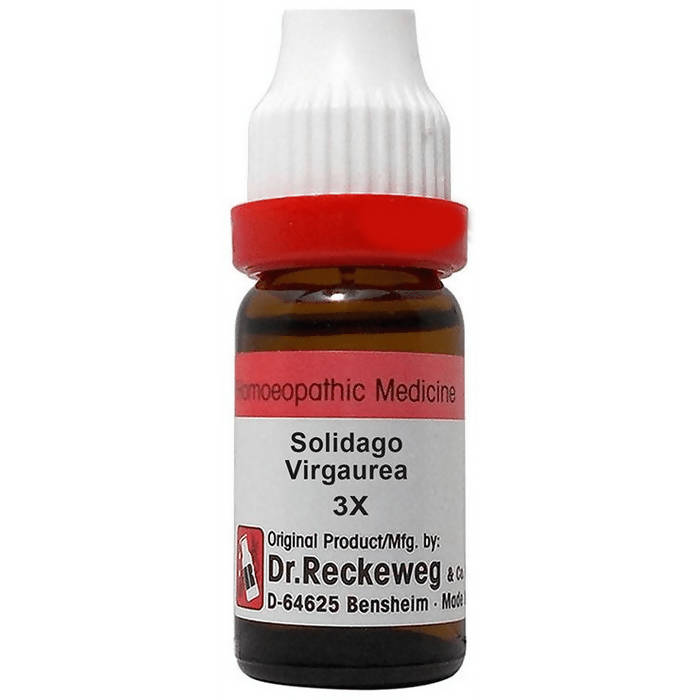 Dr. Reckeweg Solidago Virgaurea Dilution - Distacart