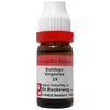 Dr. Reckeweg Solidago Virgaurea Dilution - Distacart
