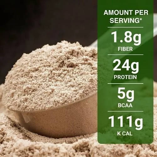 Inlife Vegan Plant Protein Powder Chocolate Flavour