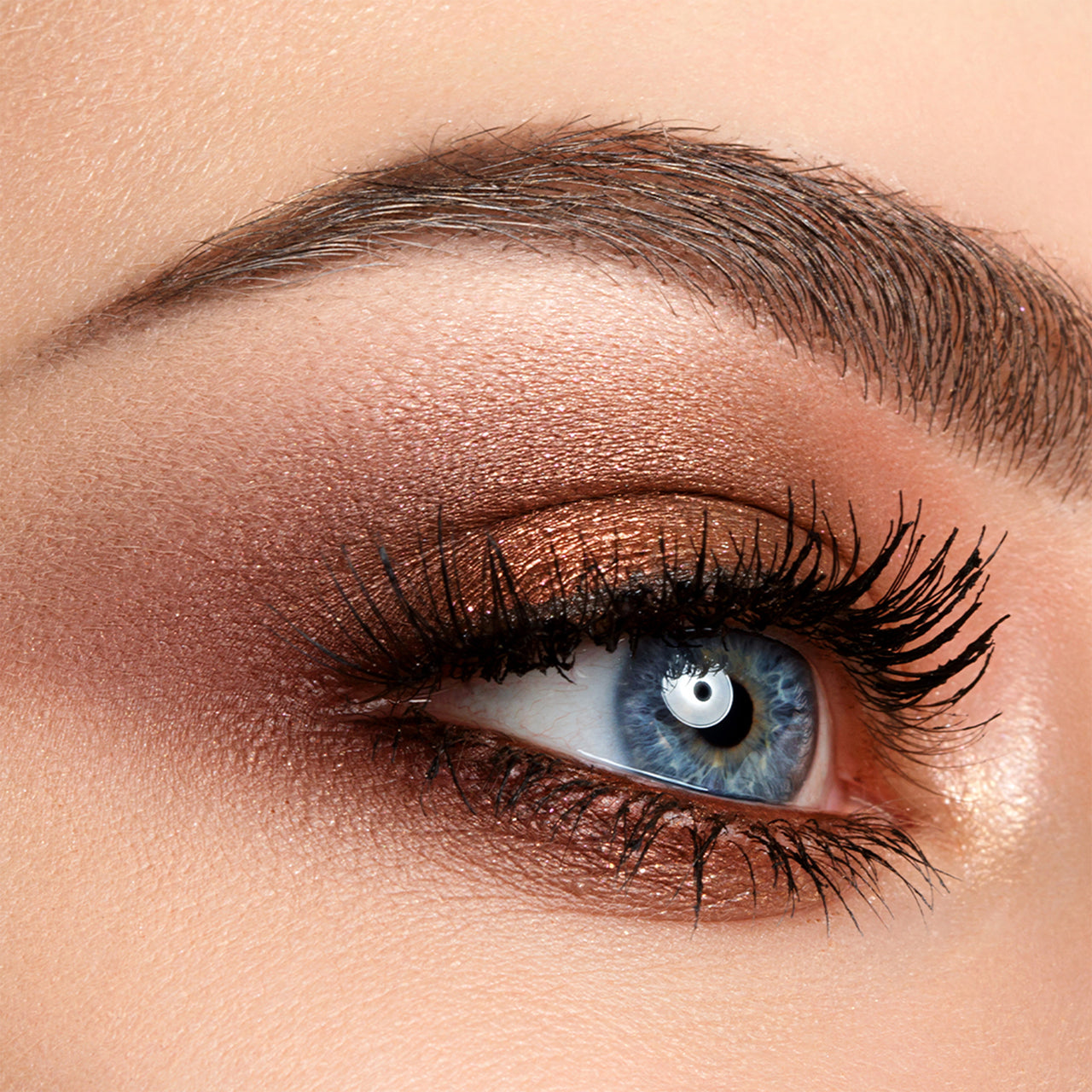 Colorbar Ready To Wink Perfect Eye Makeup Kit - Distacart
