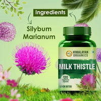 Thumbnail for Himalayan Organics Milk Thistle, Liver Detox: 120 Vegetarian Capsules Online
