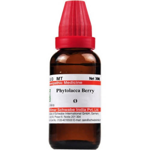 Dr. Willmar Schwabe India Phytolacca Berry Mother Tincture Q - Distacart