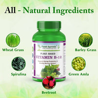 Thumbnail for Planet Ayurveda Plant Based Vitamin B12 Capsules - Distacart
