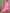 Sangria Pink Bandhani Printed Angrakha Mirror Work Pure Cotton Kurta Set - Distacart