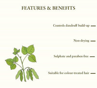 Thumbnail for Just Herbs Ayurvedic Dandruff Control Soya Protein Shampoo