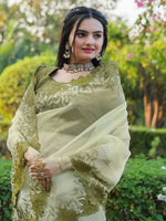 Thumbnail for Tikhi Imli Embroidered Organza Saree - Distacart