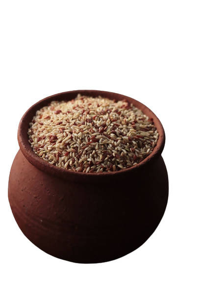 Siddhagiri's Satvyk Organic Rajmudi Rice