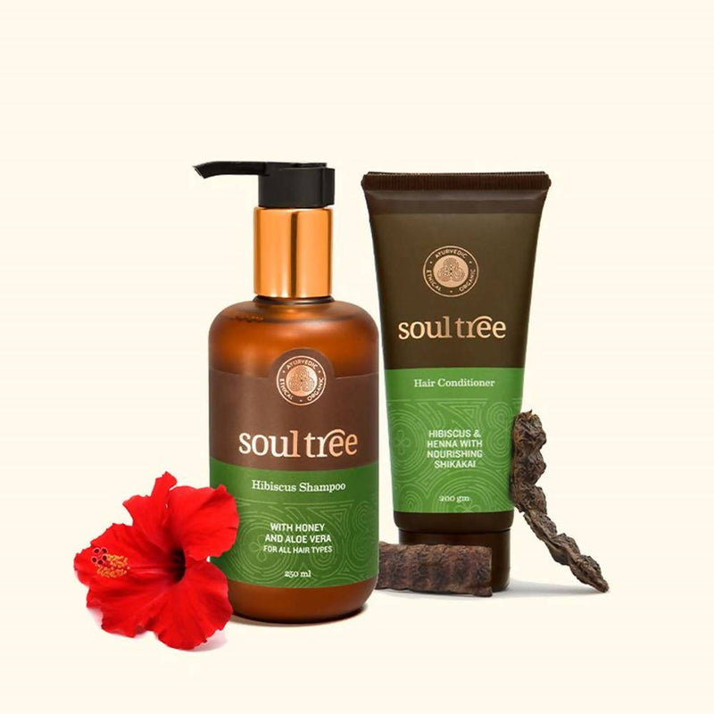 Soultree Moisture Infusing Hair Regimen