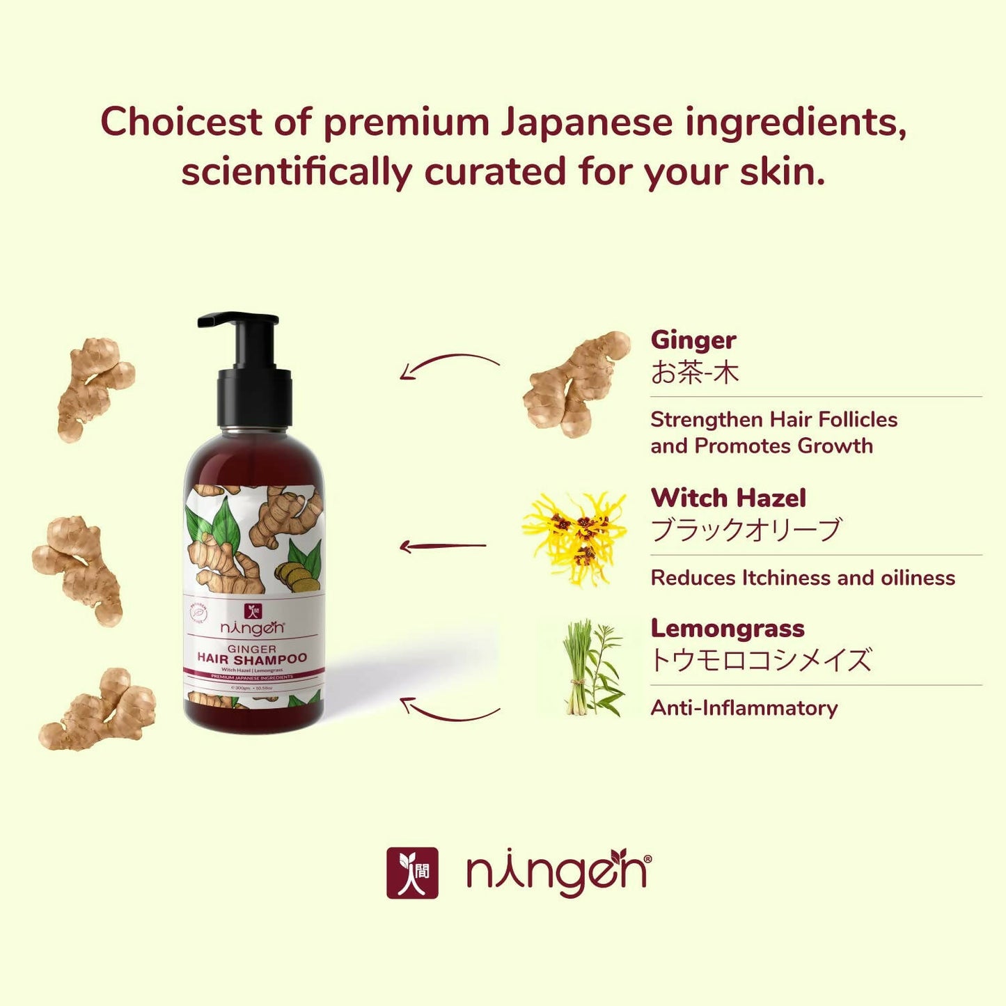 Ningen Ginger Hair Shampoo - Distacart