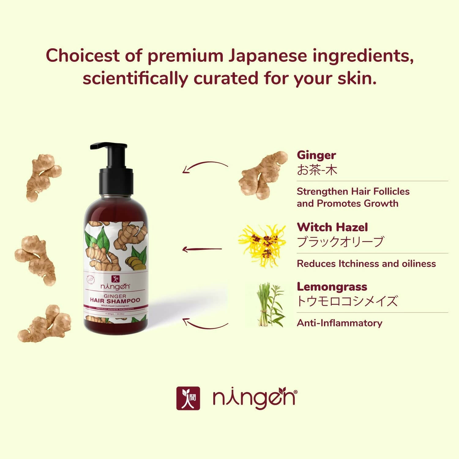 Ningen Ginger Hair Shampoo - Distacart