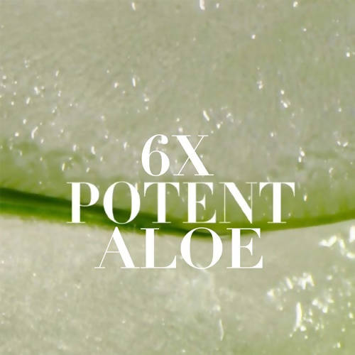 Sulfate Free potent Aloe +Bamboo Real Botanicals Strength Shampoo