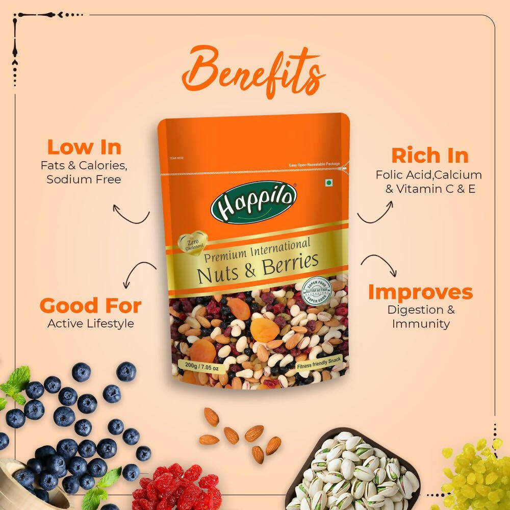Happilo Healthy & Tasty Premium Nuts and Berries Mix - Distacart