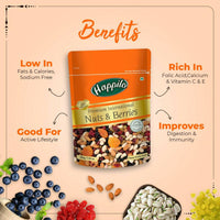 Thumbnail for Happilo Healthy & Tasty Premium Nuts and Berries Mix - Distacart