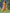 Juniper Women's Mustard Chanderi Silk Printed Anarkali Kurta - Distacart