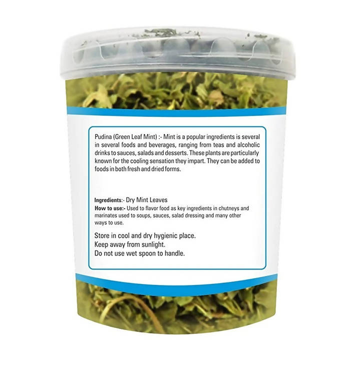 Zindagi Pudina Green Mint Dry Leaves - Distacart