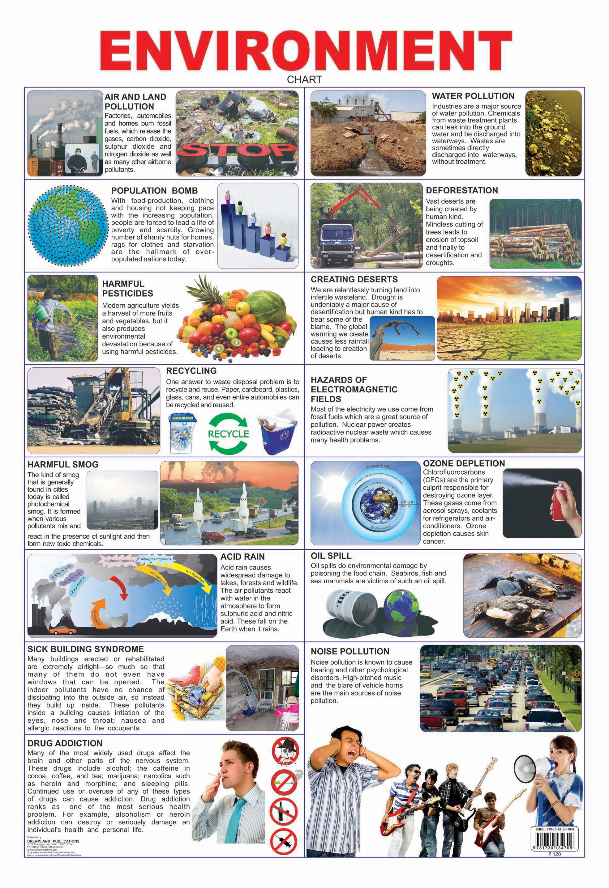 Dreamland Publications Educational Chart for Kids - Environment - Distacart