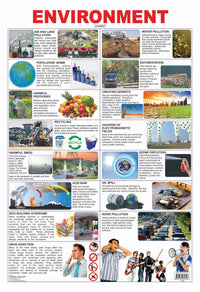 Thumbnail for Dreamland Publications Educational Chart for Kids - Environment - Distacart