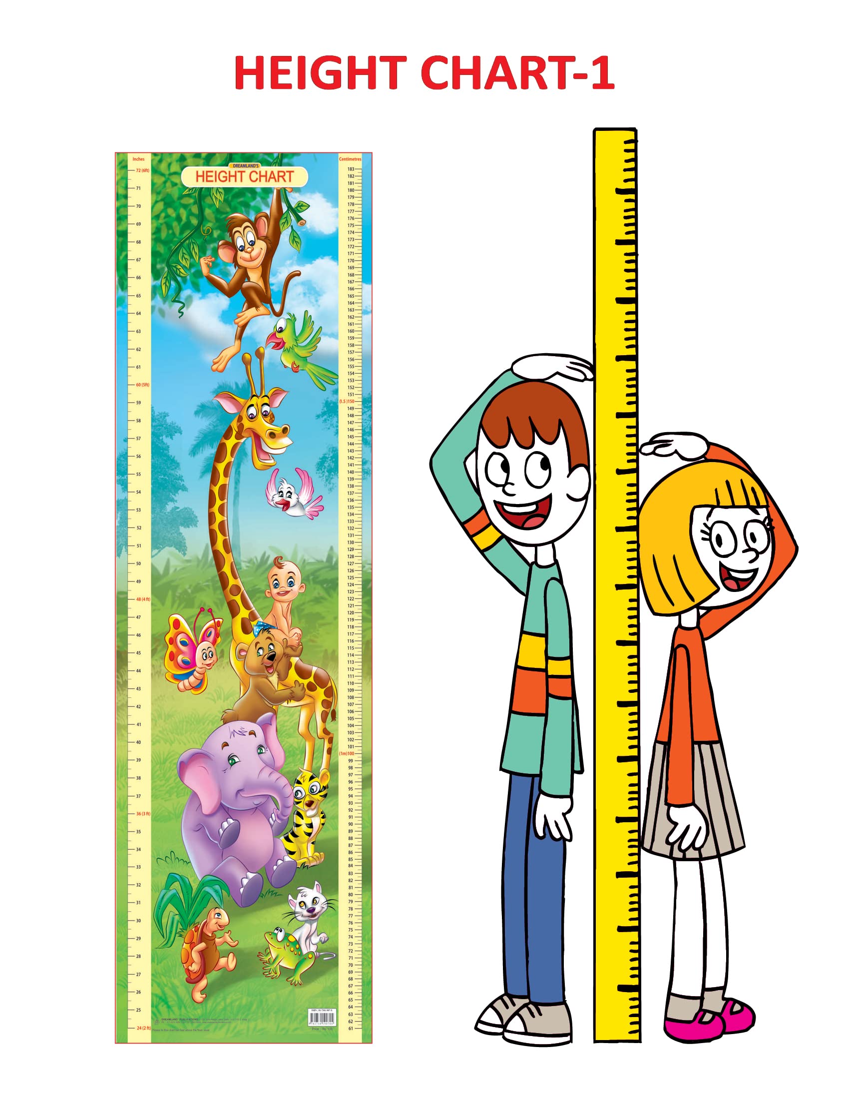 Dreamland Publications Educational Chart for Kids - Height Chart - 1 - Distacart