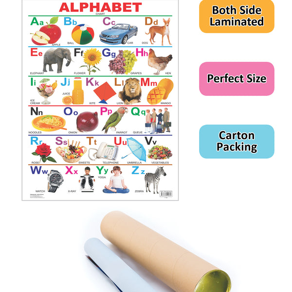 Dreamland Publications Educational Chart for Kids - Alphabet - Distacart