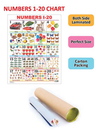 Thumbnail for Dreamland Publications Educational Chart for Kids - Numbers 1-20 - Distacart