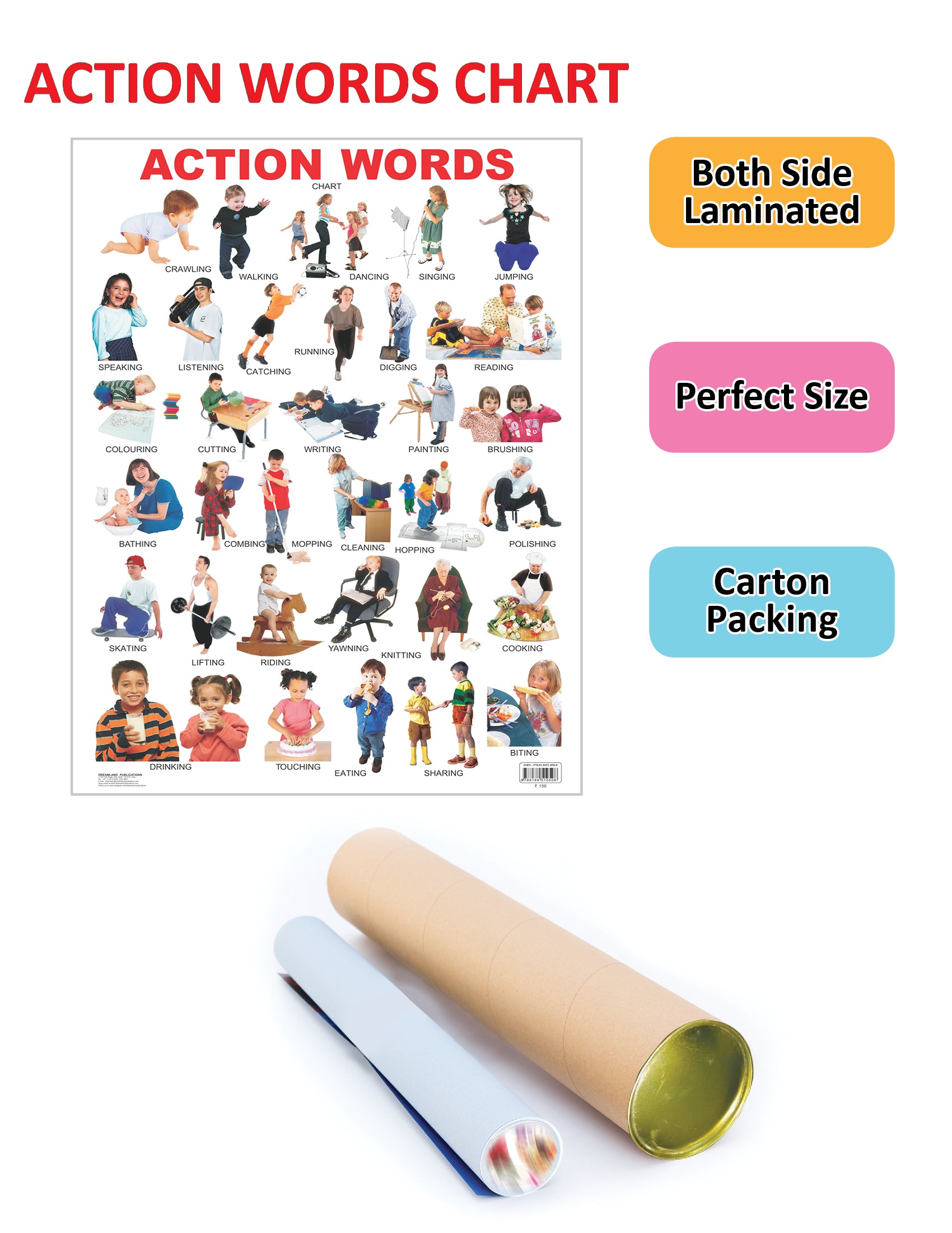 Dreamland Publications Educational Chart for Kids - Action Words - Distacart