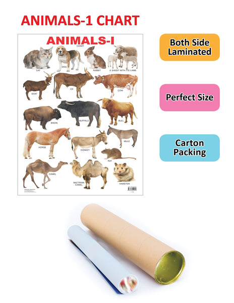 Dreamland Publications Educational Chart for Kids - Animals-1 - Distacart