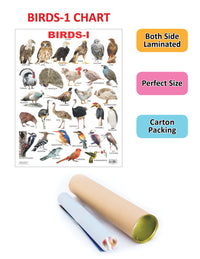 Thumbnail for Dreamland Publications Educational Chart for Kids - Birds-1 - Distacart