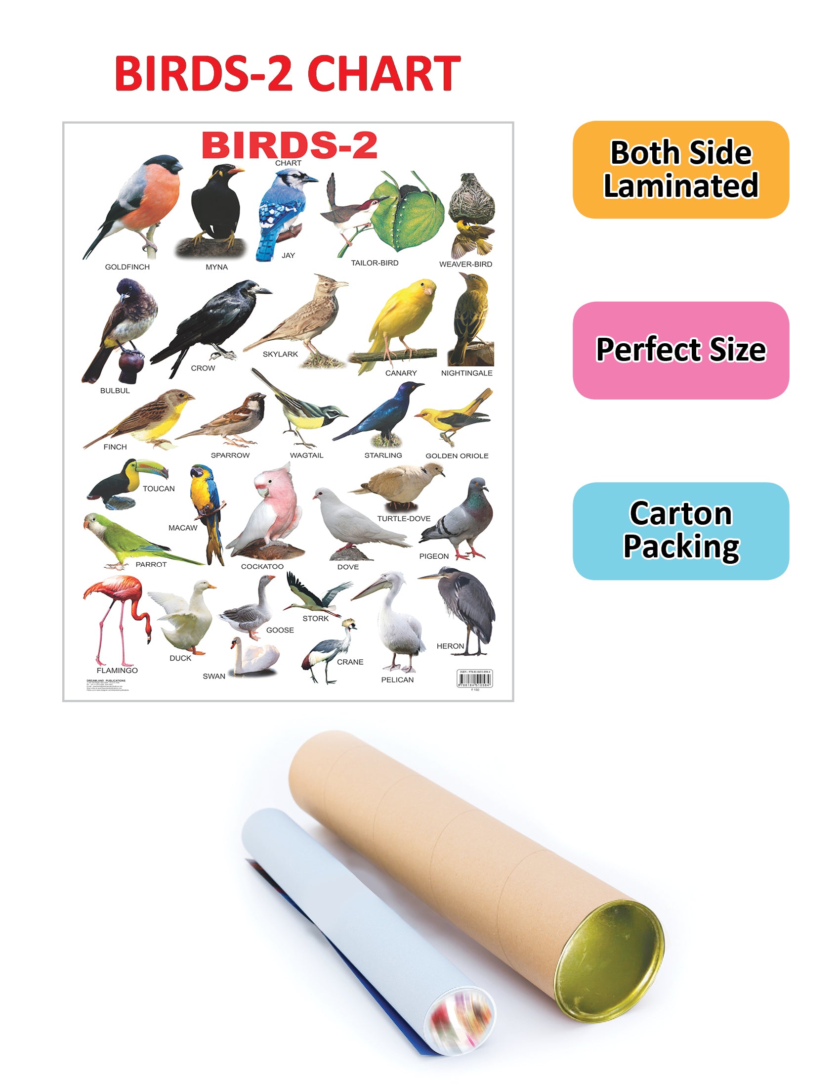Dreamland Publications Educational Chart for Kids - Birds-2 - Distacart