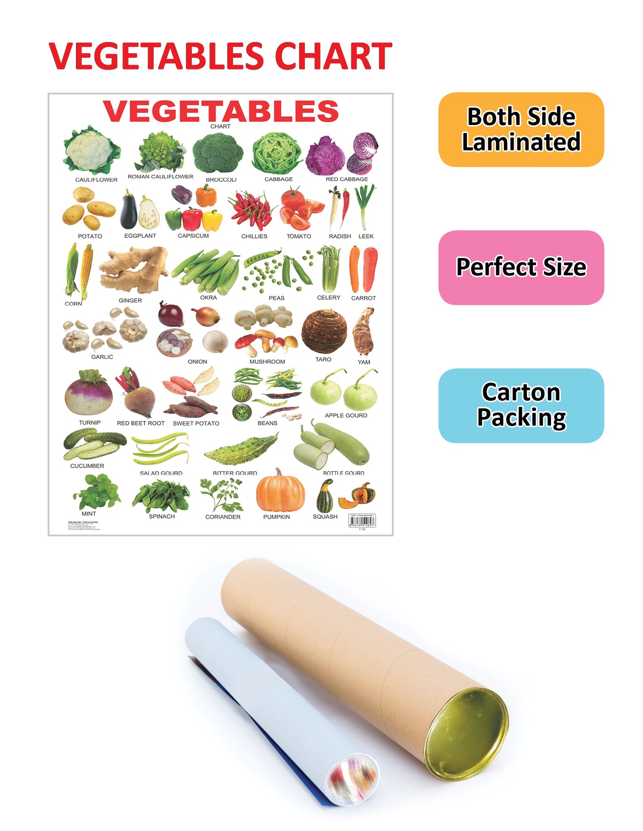Dreamland Publications Educational Chart for Kids - Vegetables - Distacart