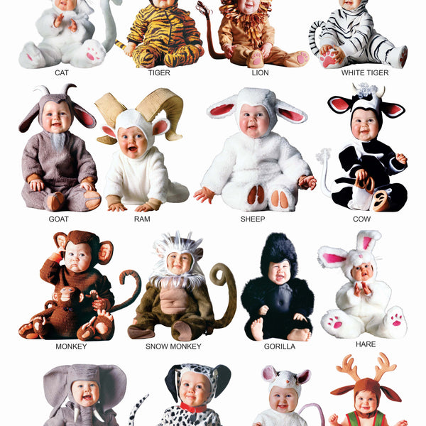 Dreamland Publications Educational Chart for Kids - Cute Animals - 1 - Distacart