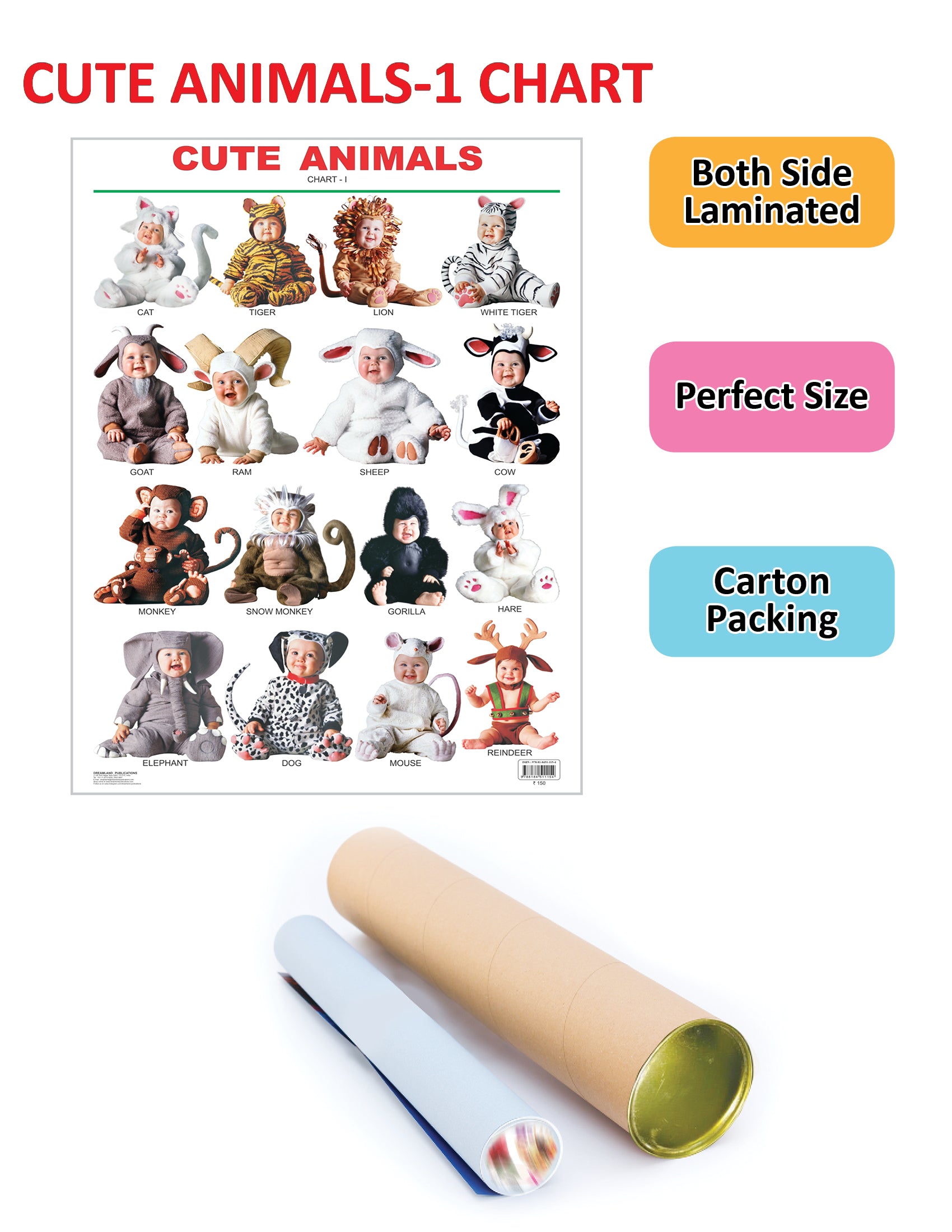 Dreamland Publications Educational Chart for Kids - Cute Animals - 1 - Distacart
