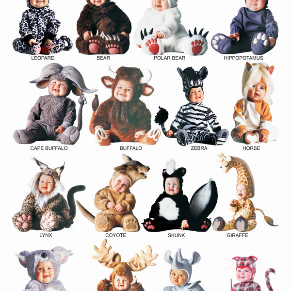 Dreamland Publications Educational Chart for Kids - Cute Animals - 2. - Distacart
