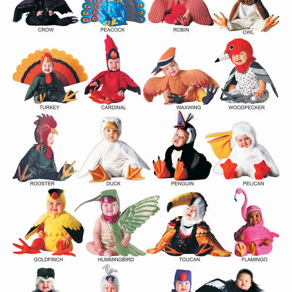 Dreamland Publications Educational Chart for Kids - Cute Birds - Distacart