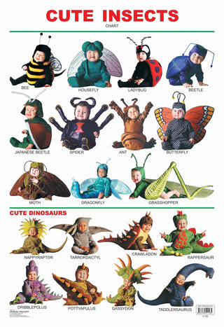 Dreamland Publications Cute Insects : Children Reference Educational Laminated Chart - Distacart