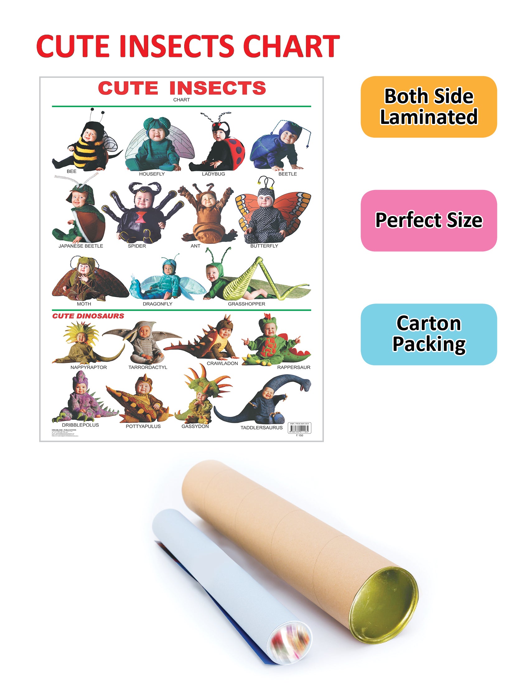 Dreamland Publications Cute Insects : Children Reference Educational Laminated Chart - Distacart