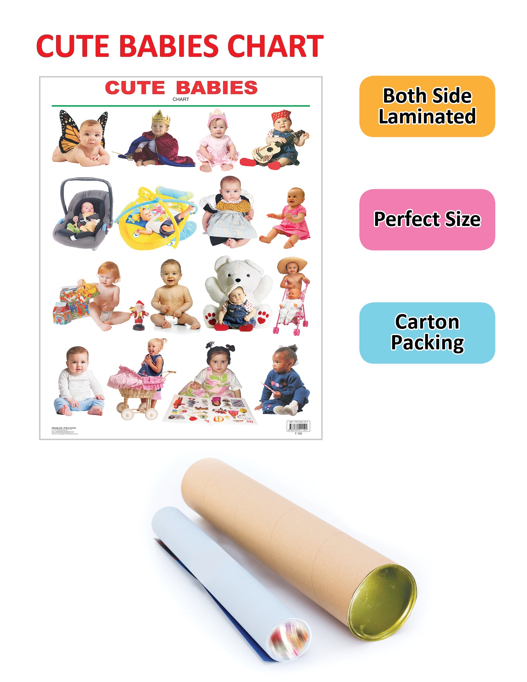 Dreamland Publications Educational Chart for Kids - Cute Babies - Distacart