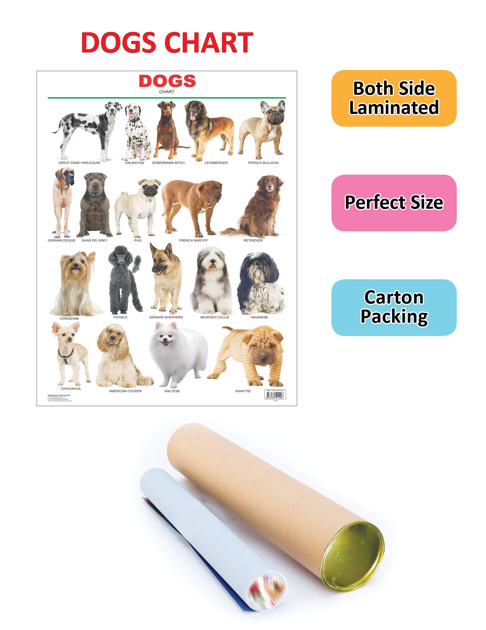 Dreamland Publications Dogs : Children Reference Educational Laminated Chart - Distacart