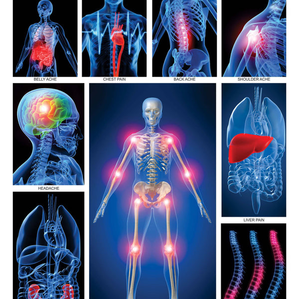 Dreamland Publications Educational Chart for Kids - The Pains - Distacart