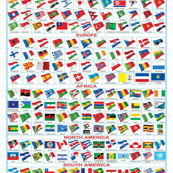 Dreamland Publications Flag Chart : Children Reference Educational Laminated Chart - Distacart