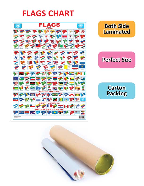 Dreamland Publications Flag Chart : Children Reference Educational Laminated Chart - Distacart