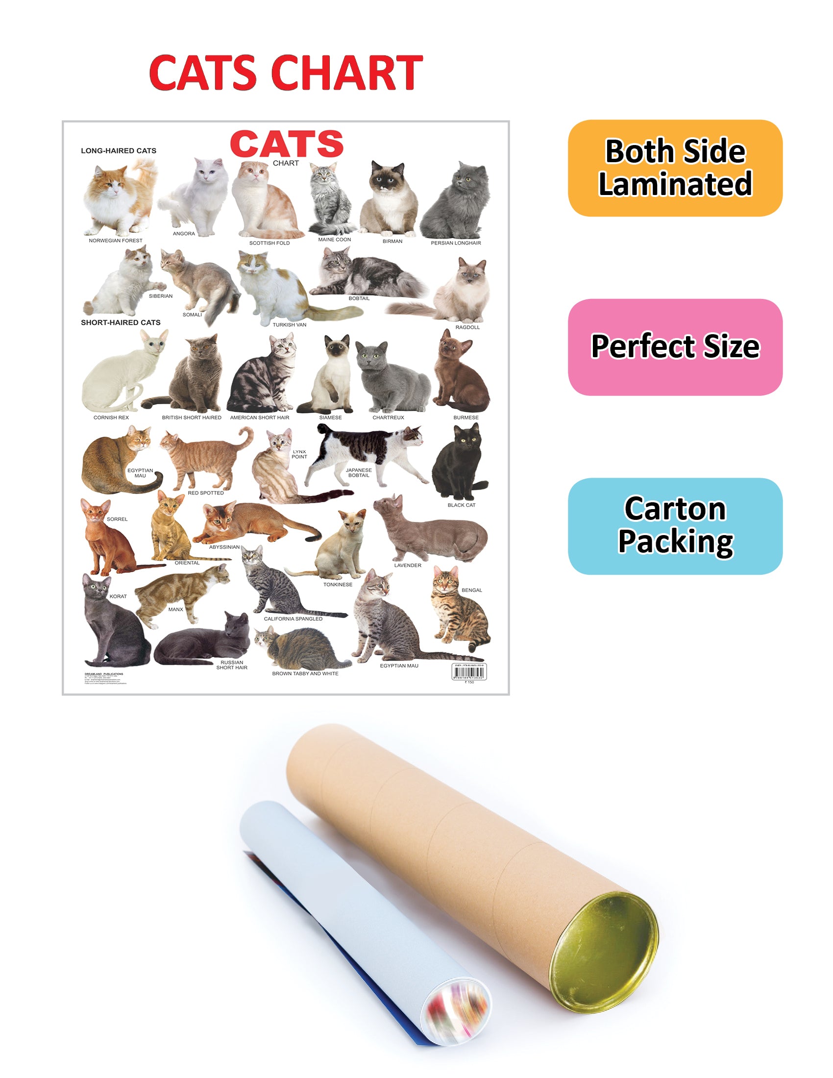 Dreamland Publications Cat Chart : Children Reference Educational Laminated Chart - Distacart